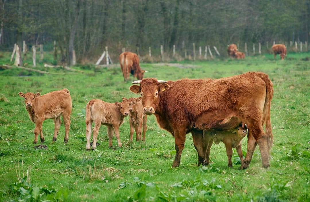Foto: Van Assendelft Fotografie