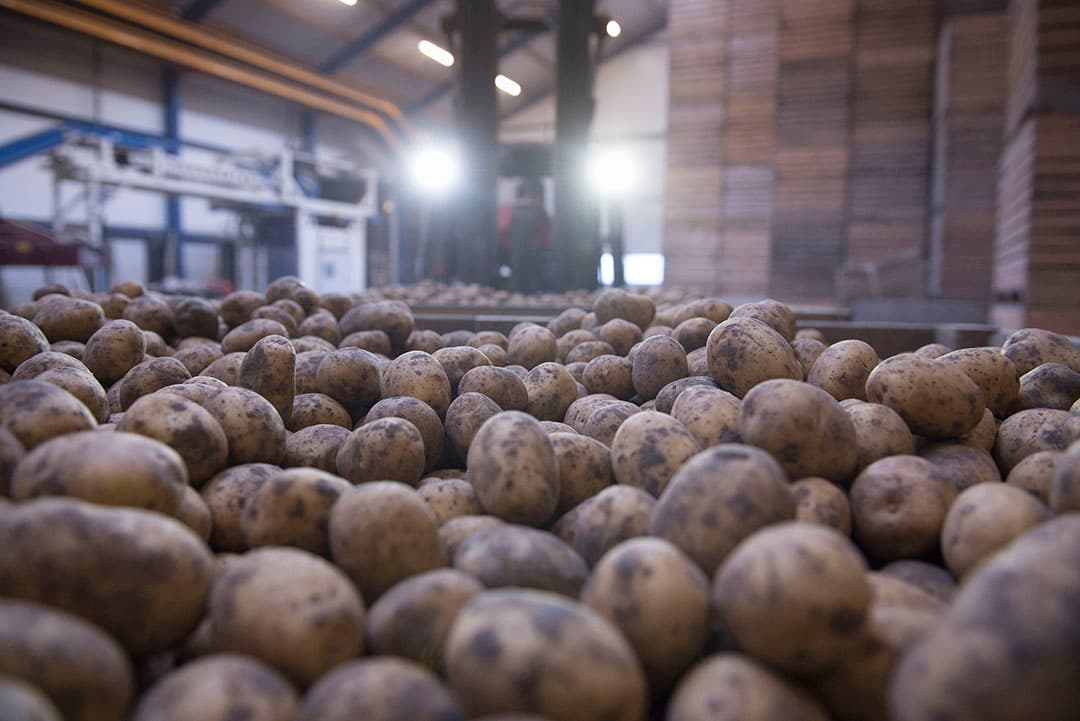 Foto: Mark Pasveer