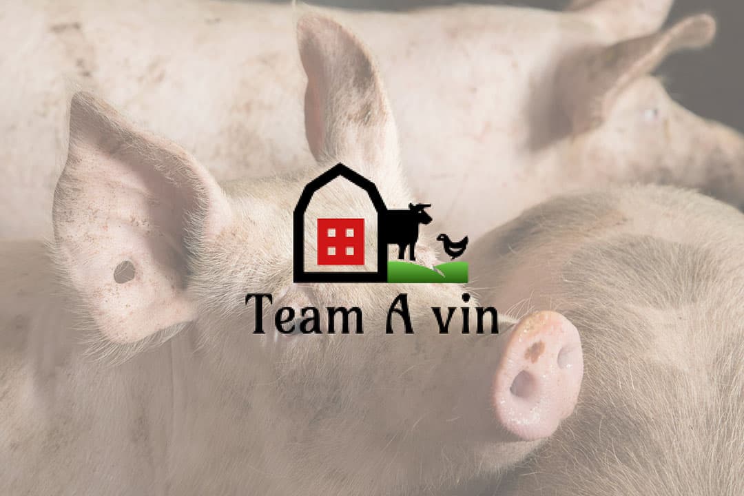 Foto: Koos Groenewold en A-ViN
