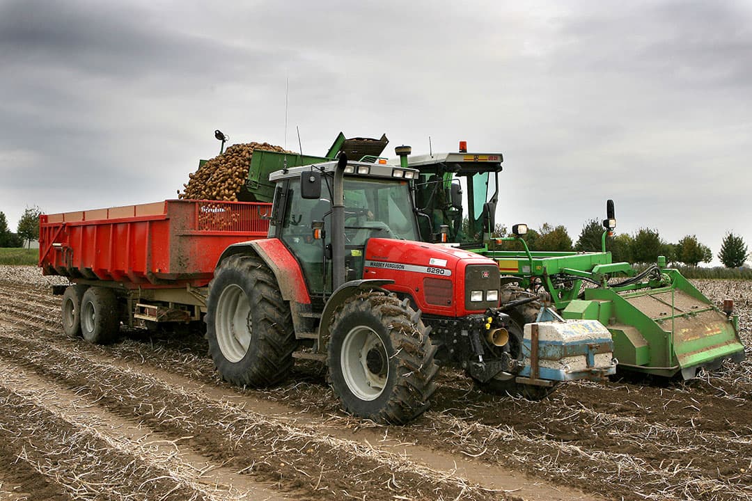 Foto: Peter Roek