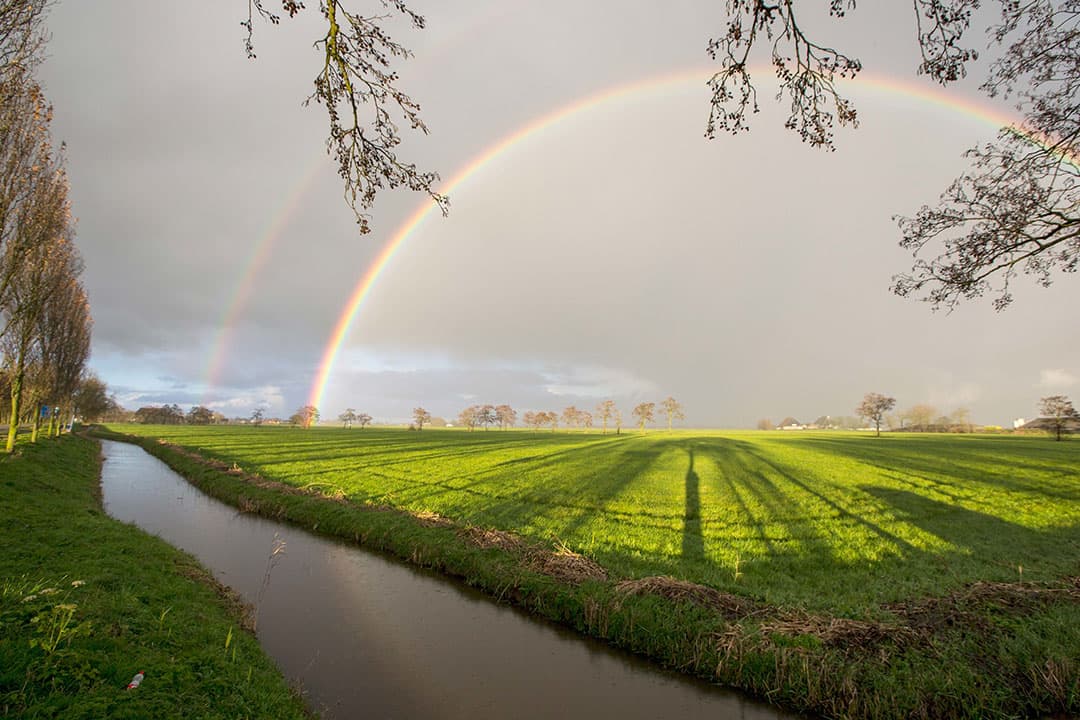 Foto: Anne van der Woude