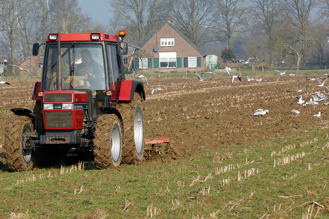Foto: Henk Riswick