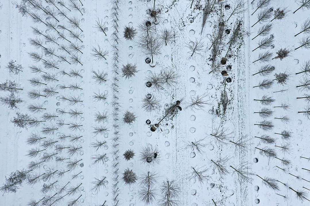Grondmonsters nemen in de sneeuw. Ardy van der Sloot neemt voor Eurofins Agro monsters bij Henk Renken uit Finsterwolde. Op de zware klei is het onder deze omstandigheden heel goed te doen, want als het nat is kleeft de klei aan je laarzen en is het moeilijk lopen. Volgens Ardy is het gezond weer en als de zon schijnt is de natuur prachtig. - Foto: Koos van der Spek