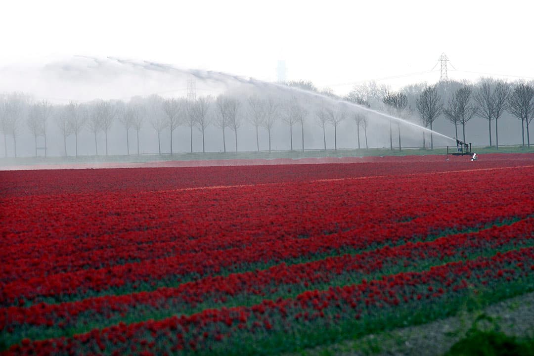 Foto; Ton Kastermans
