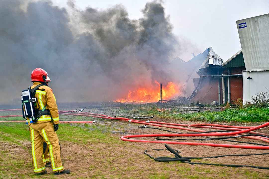 Foto: Bert Jansen