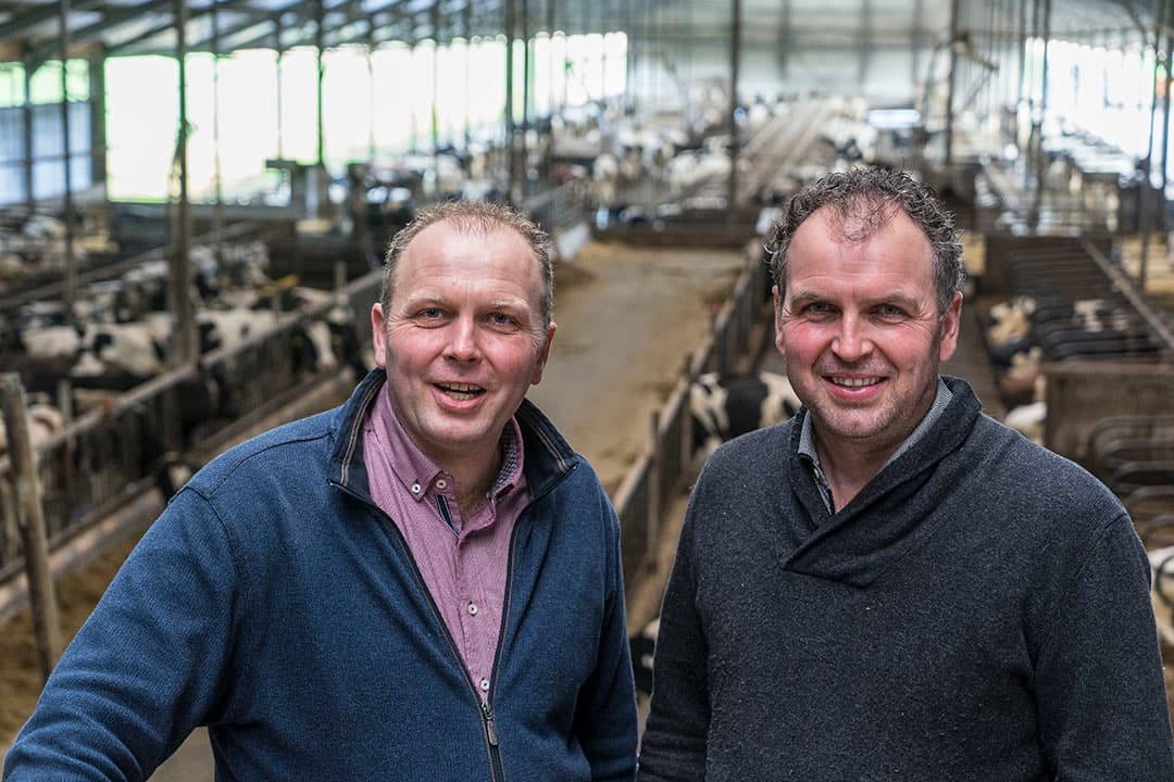 Foto: Jan Willem van Vliet
