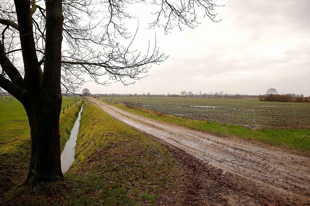 Foto: Hans Prinsen