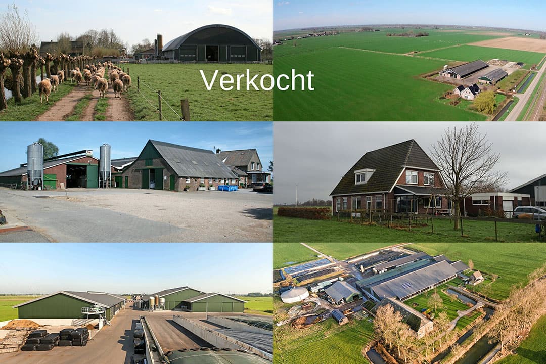 De 6 melkveebedrijven die te koop stonden, zijn allemaal verkocht.