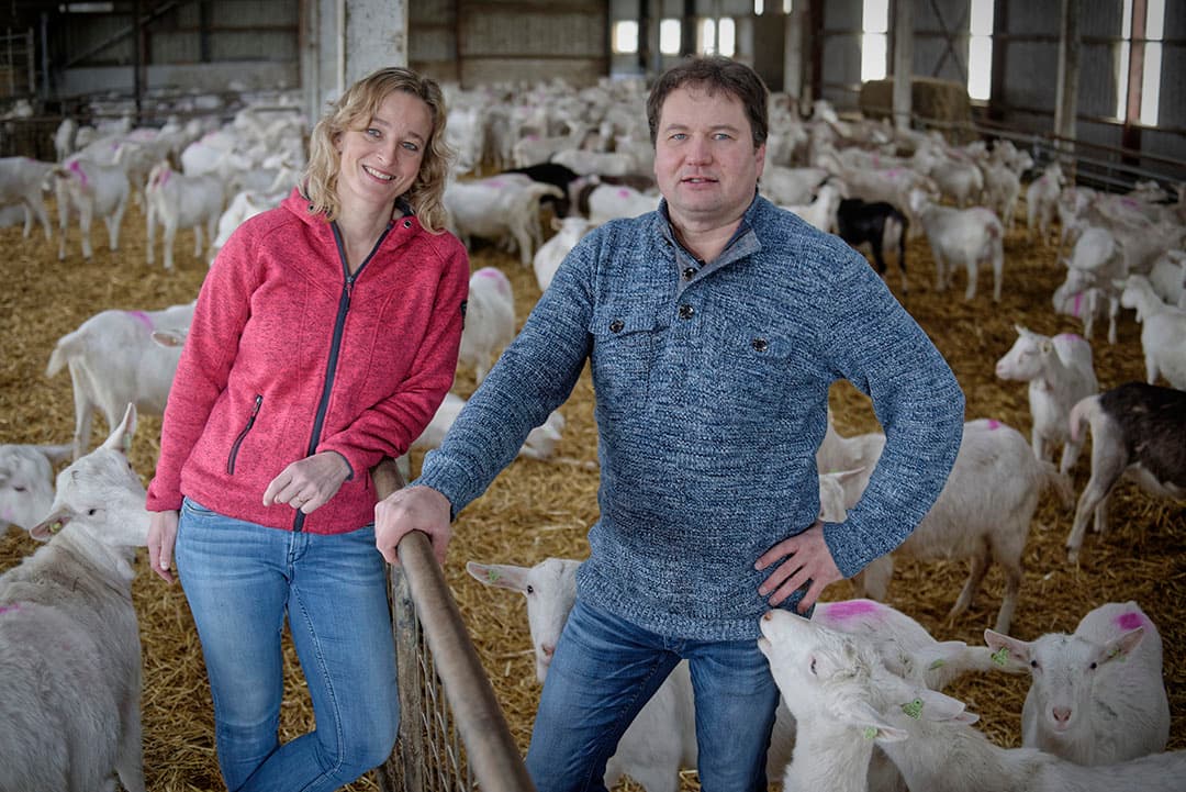Peter en Patricia Wiering melken 900 geiten in Venhuizen (N.-H.). Er zijn 450 stuks jongvee. - Foto: Lex Salverda
