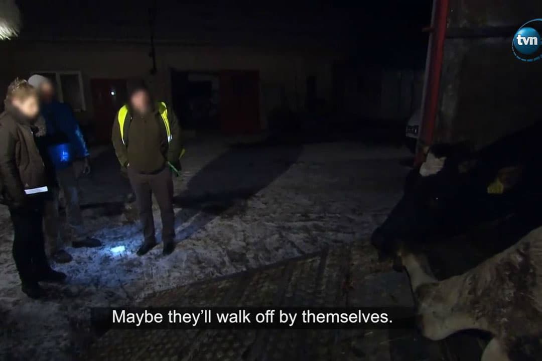 Foto: screenshot documentaire van de Poolse nieuwszender TVN24