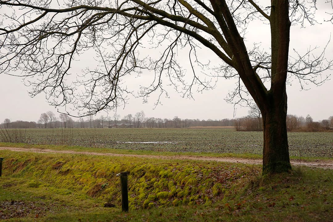 Foto: Hans Prinsen