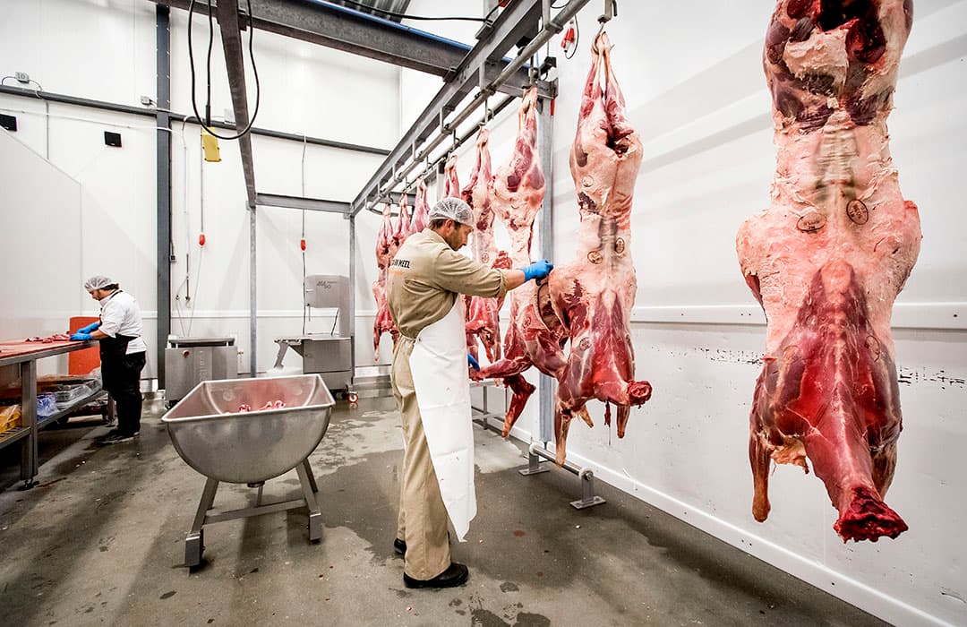 Dit prachtige beeld van akkers in Monestrol, in Zuid-Frankrijk, heeft weinig uitleg nodig.   Foto: AFP