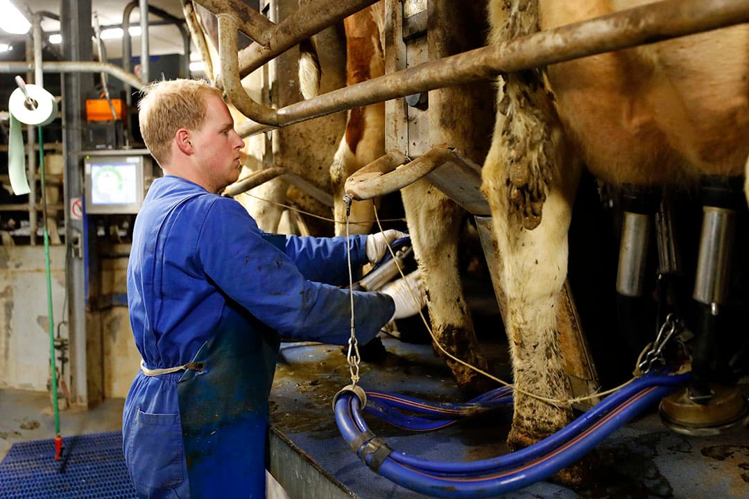 Foto: Bert Jansen