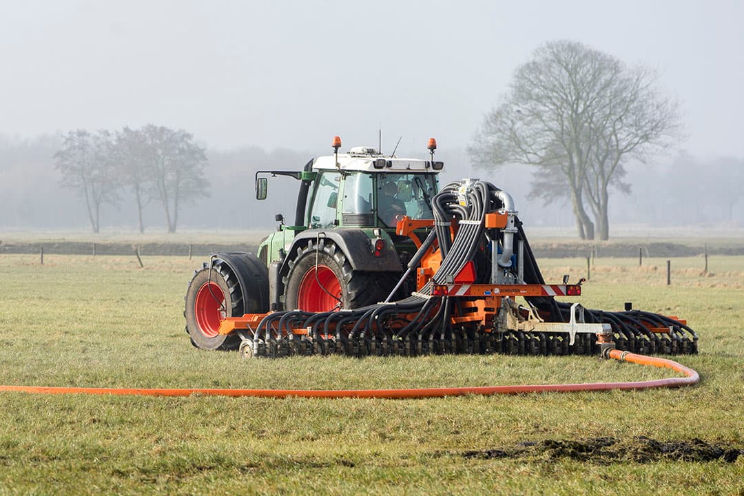 Foto: Jan Willem van Vliet