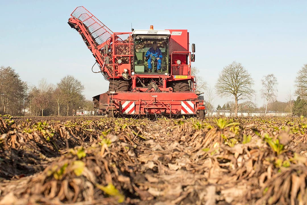 Foto: Koos van der Spek