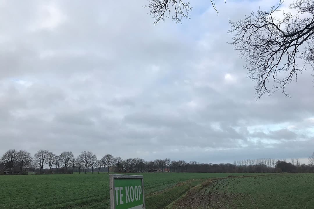 Foto: Boerderij