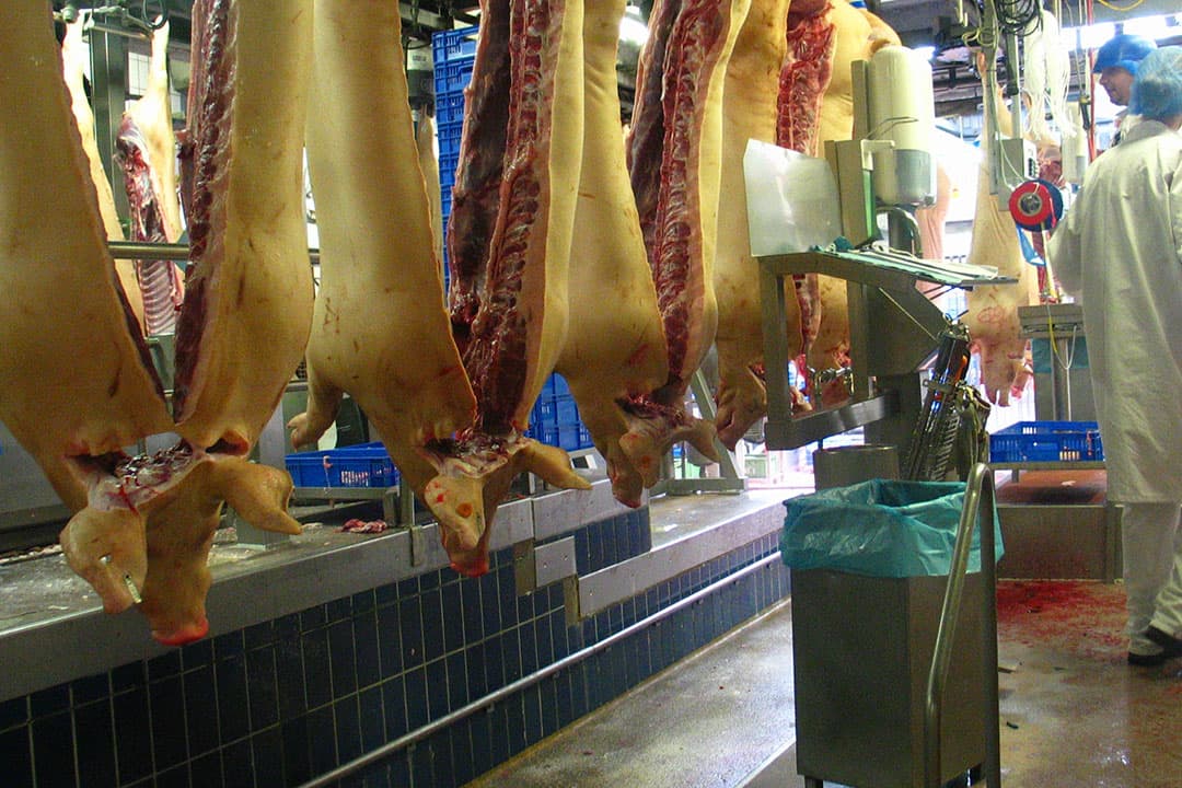 Foto: Boerderij