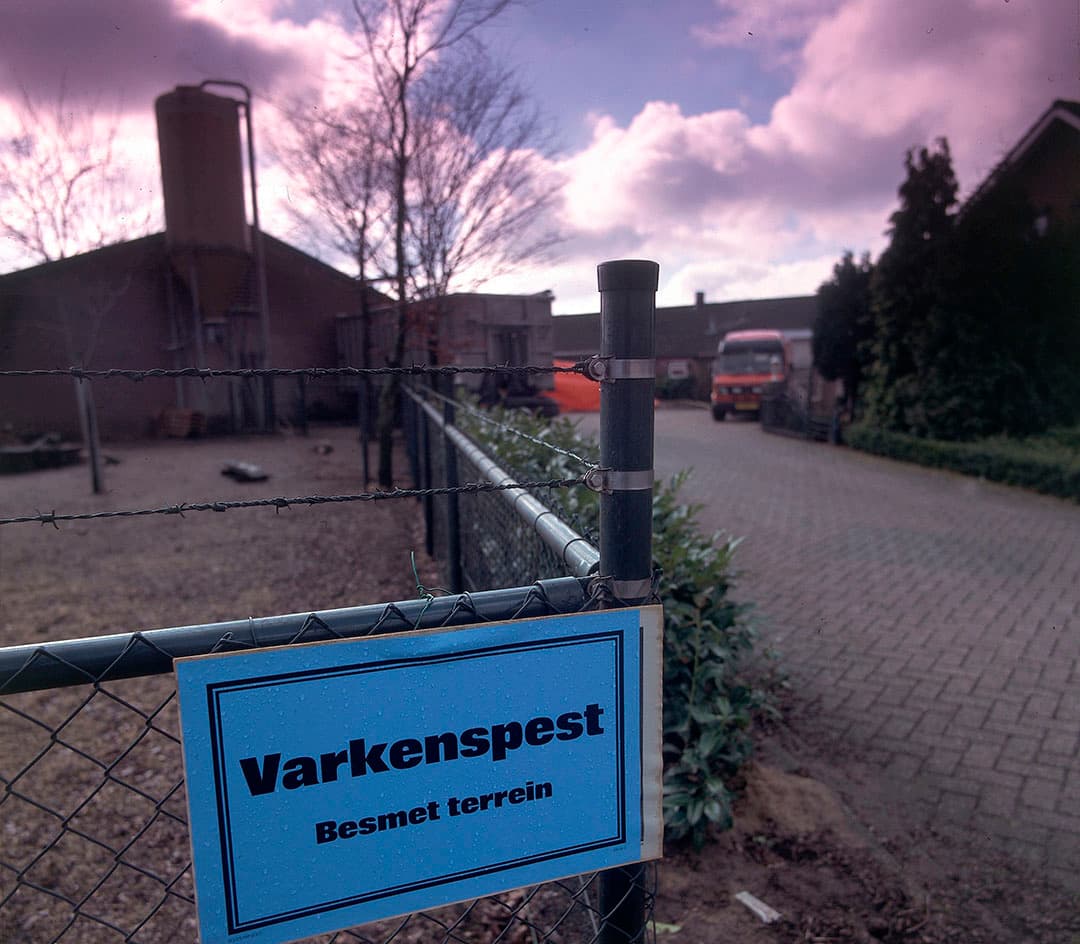 Foto: Mark Pasveer