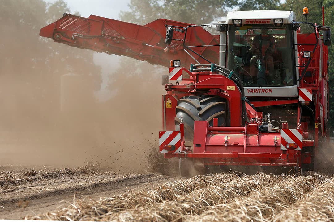 Foto: Hans Prinsen