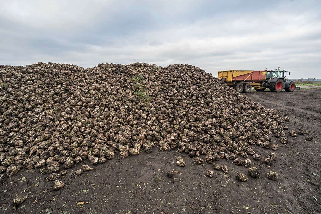 Foto: Jan Willem van Vliet