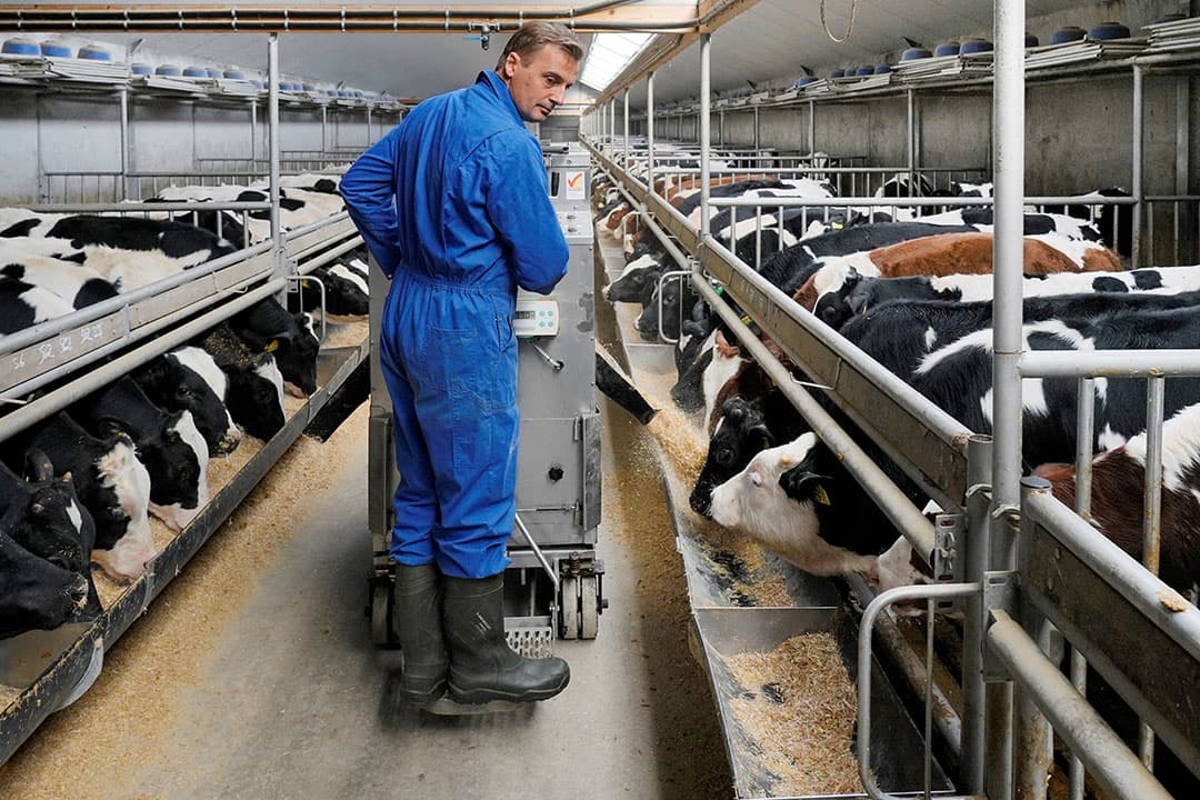 Foto: Ruud Ploeg