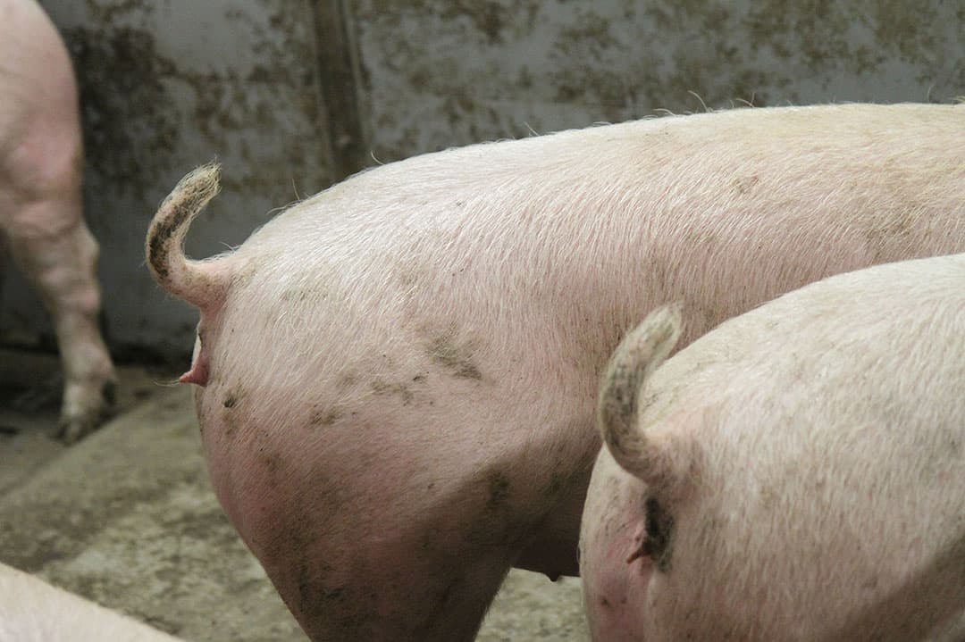 Foto: Matthijs Verhagen