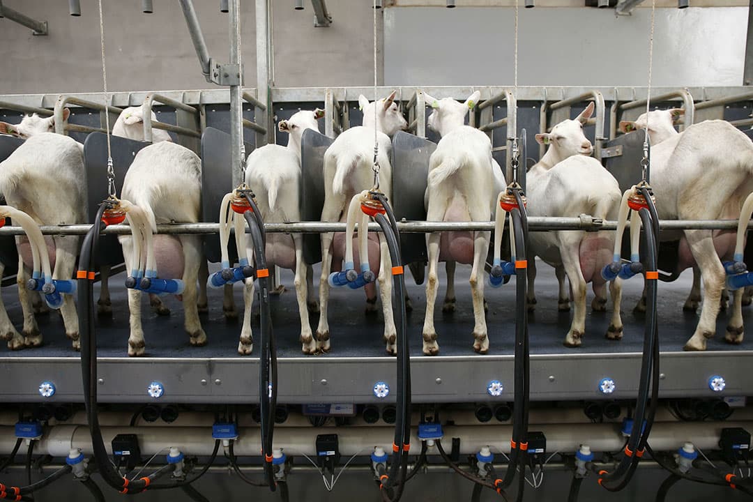 Foto: Hans Prinsen