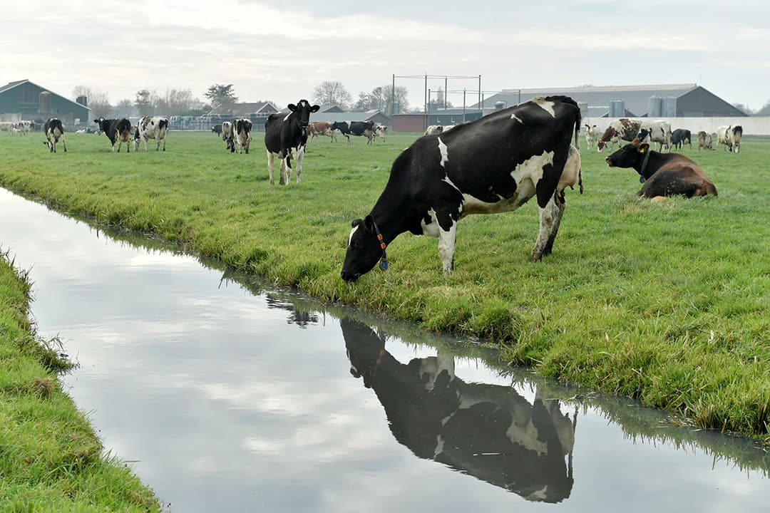 Foto: Fotopersburo Dijkstra bv