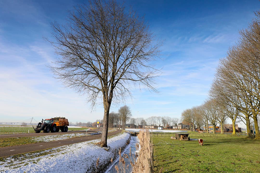 Foto: Ruud Ploeg