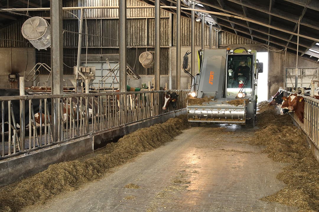 Het melkvee produceert 10.000 kilo melk per koe per jaar met 3,55% eiwit en 4,40% vet. Sodagrain is belangrijk om de koeien van voldoende energie te voorzien.