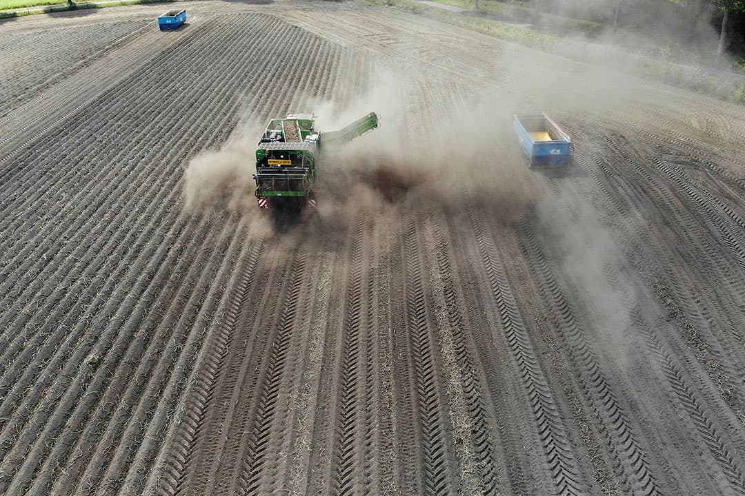 Foto: Hans Prinsen