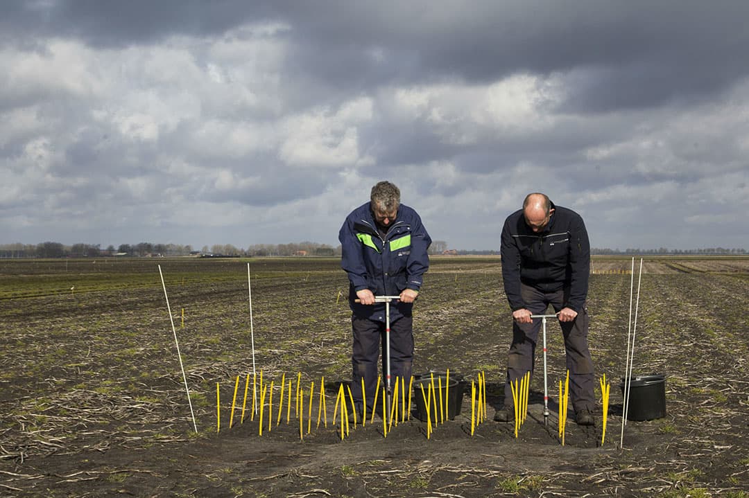 Foto: Jan Willem van Vliet