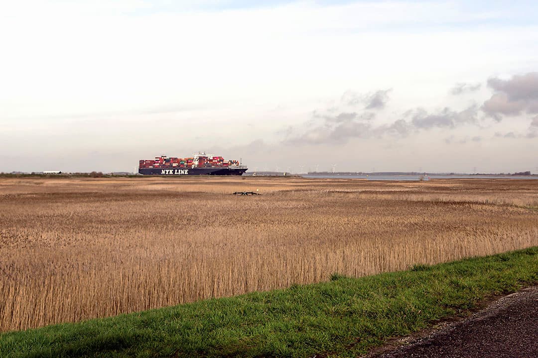 Foto: Roel Dijkstra