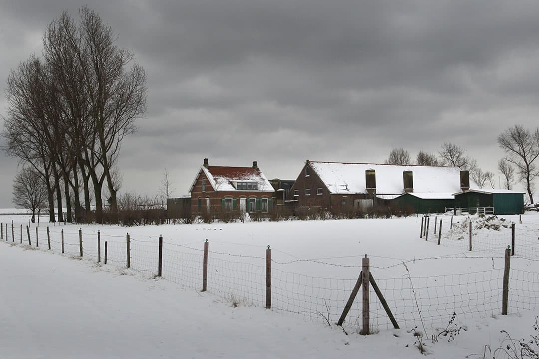 190134 Bedrijf varkenshouderij VOF Witte in Borssele