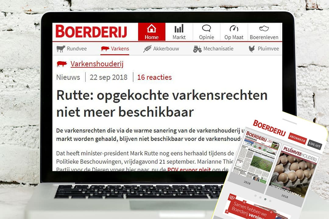 Afbeelding: Boerderij
