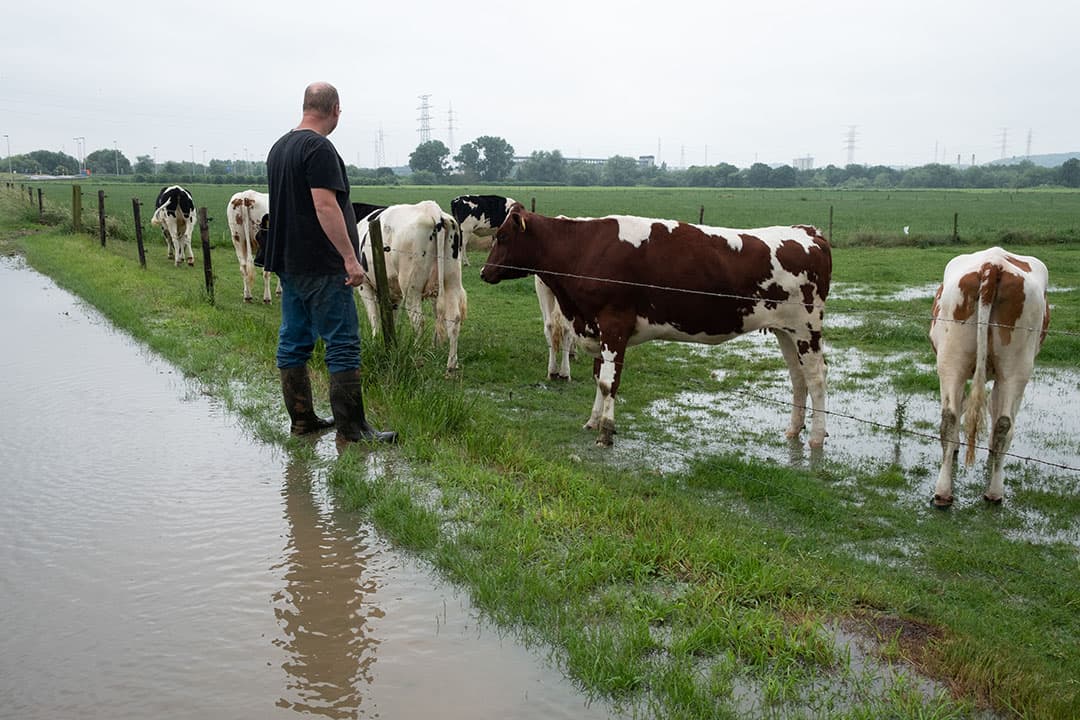 Foto: Twan Wiermans