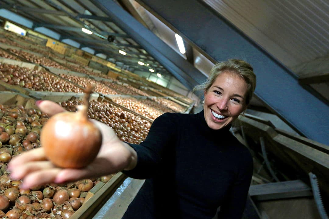Wiskerke: onze kracht is goede uien, lage kostprijs
