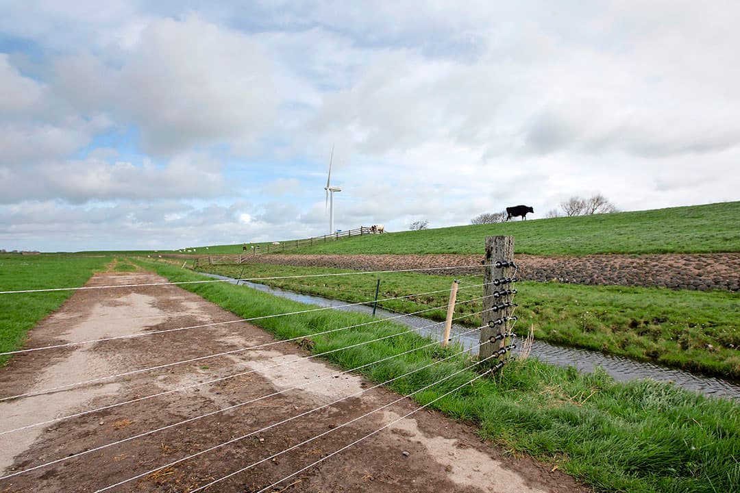 Foto: Anne van der Woude