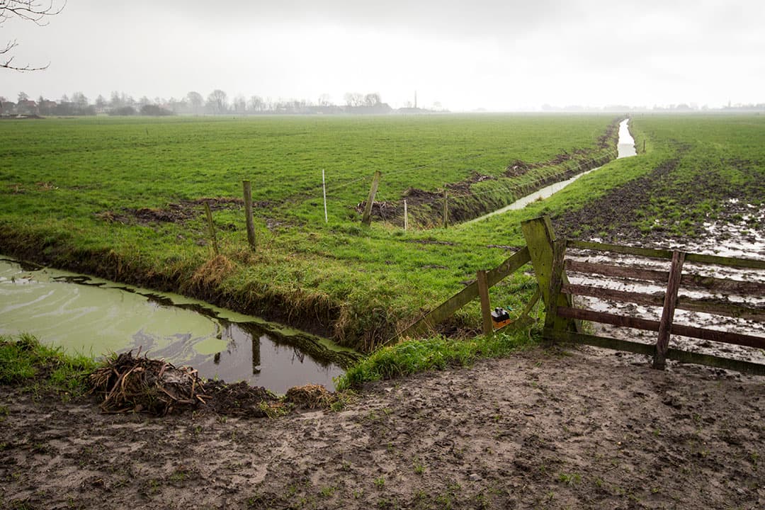 Foto: Anne van der Woude