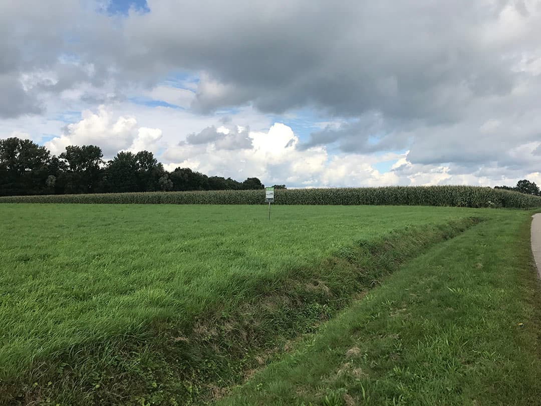 Foto: Martijn ter Horst