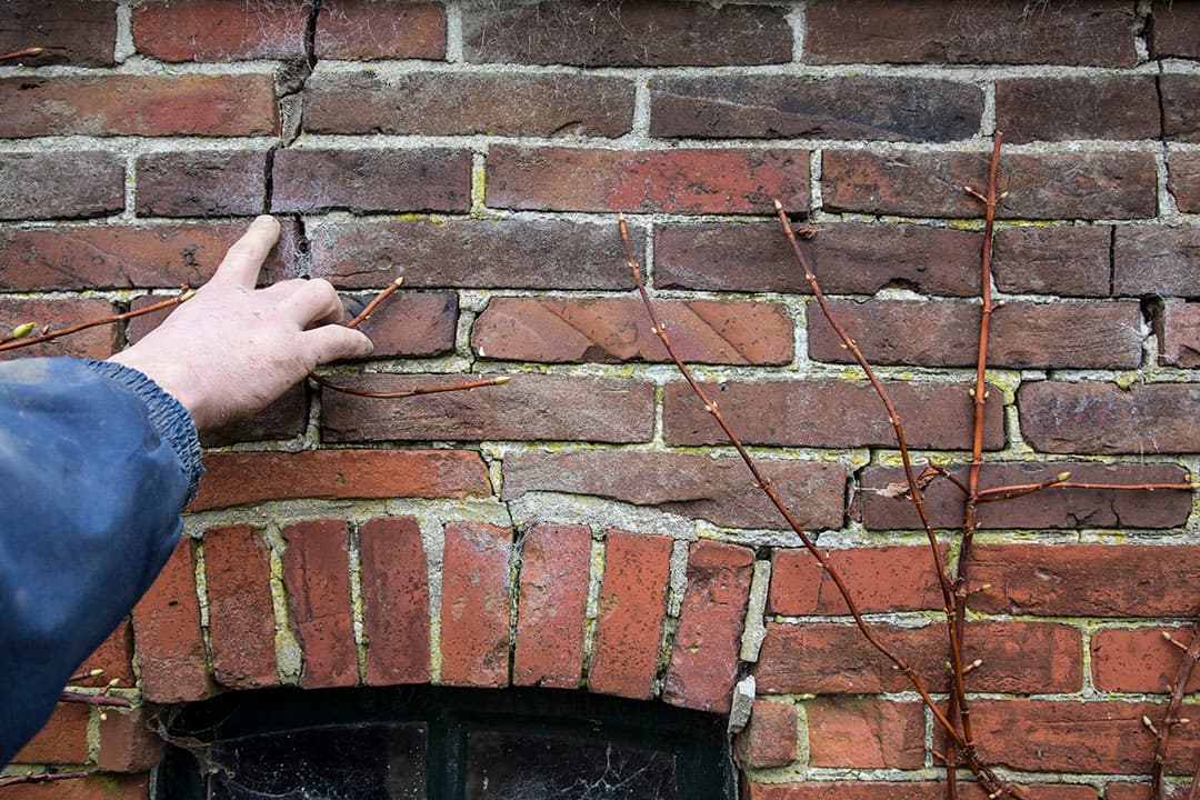 Foto: Jan WIllem van Vliet