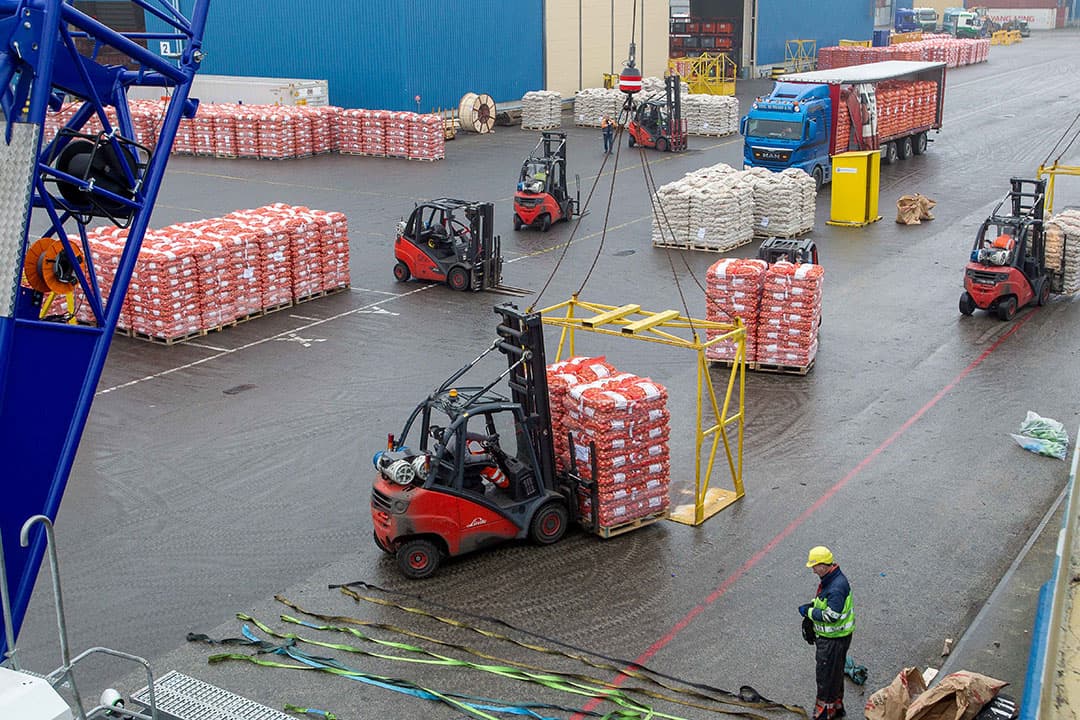Foto: Peter Roek