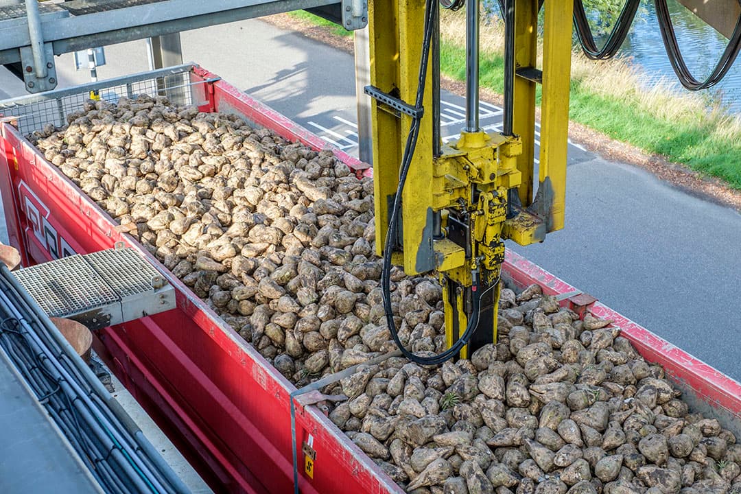 Monstername bij de Suiker Unie-fabriek. - Foto: Roel Dijkstra