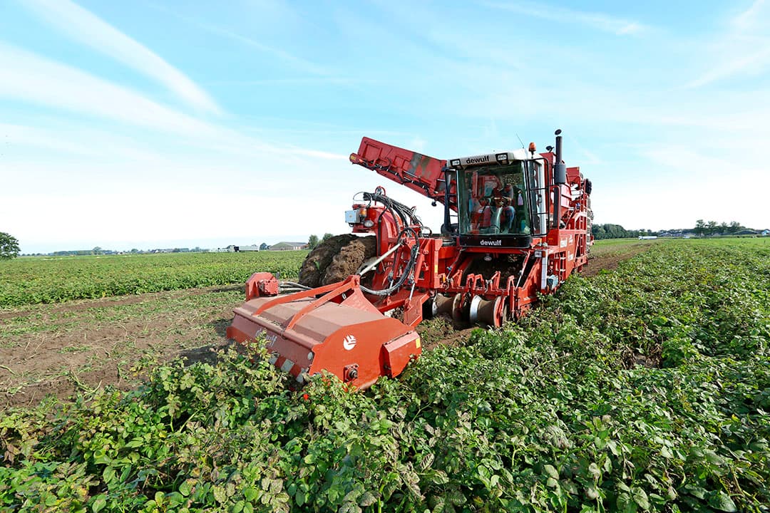 Aardappeloogst in Overijssel. - Foto: Henk Riswick