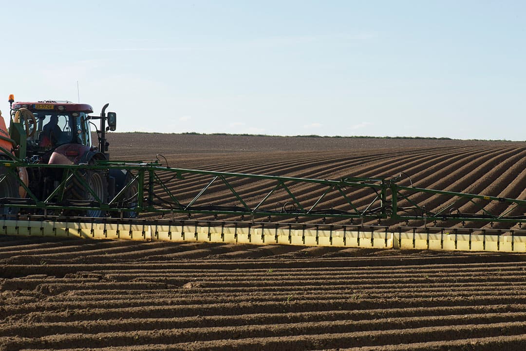 Met de Wingssprayer, hier in de aardappelen, kan drift worden gereduceerd. - Foto: Twan Wiermans