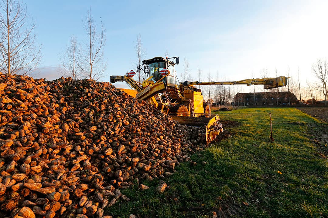 Foto: Bert Jansen
