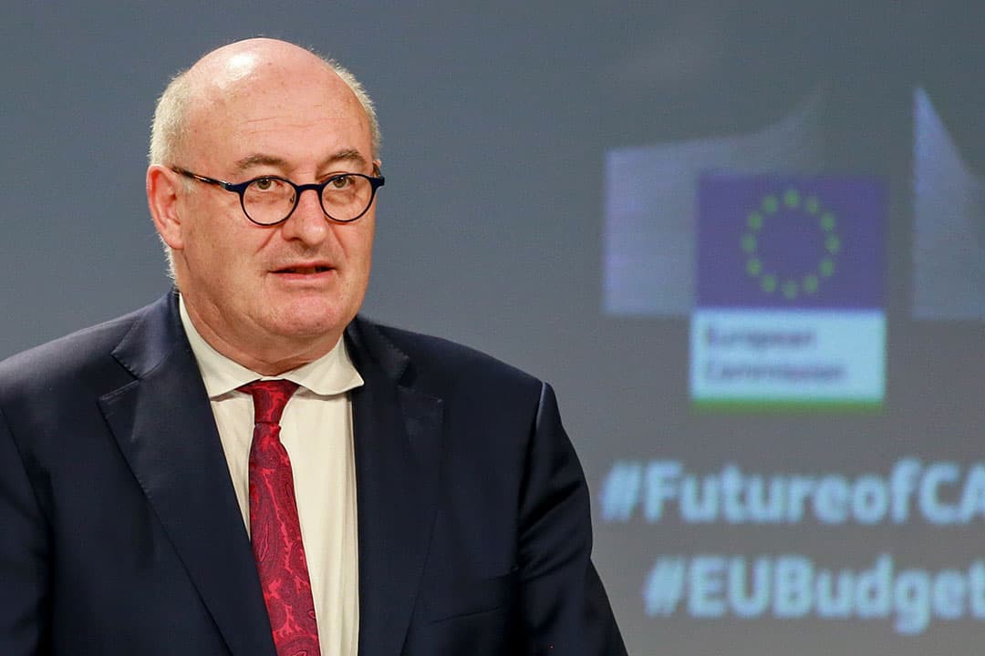 Phil Hogan - Foto: EPA