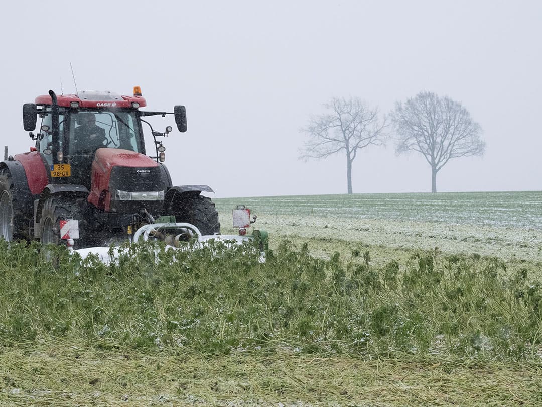 Foto: Twan Wiermans