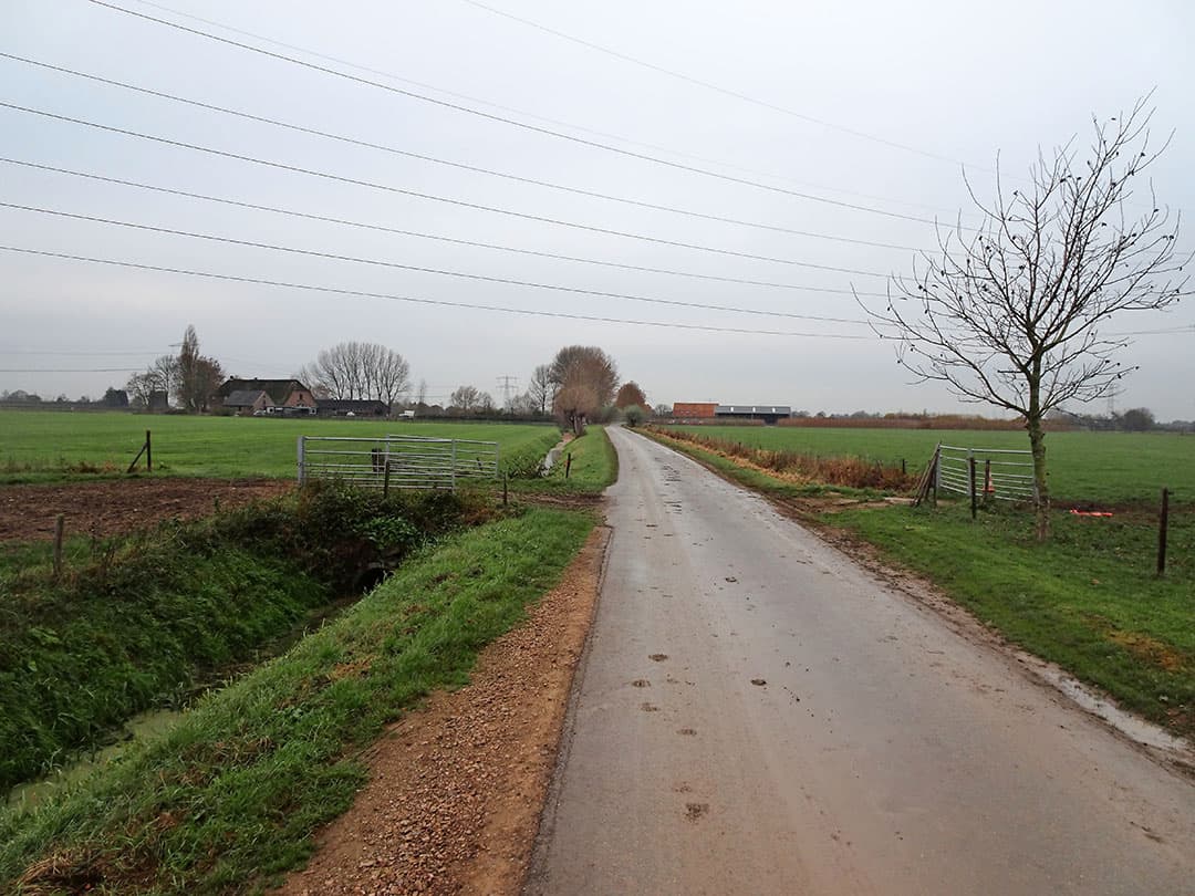 Vlakbij snelweg A15 staat voor ¬ 3,8 miljoen een gemengd bedrijf met 57 hectare te koop. De boerderij ligt in de Betuwe, in een gemengde regio met fruittelers, akkerbouwers (mestafzet gaat hier vrij vlot) en veehouders. Het dorp Zetten ligt op 2,5 kilometer afstand. Nijmegen is niet ver weg (20 kilometer). - Foto: Robin Visser