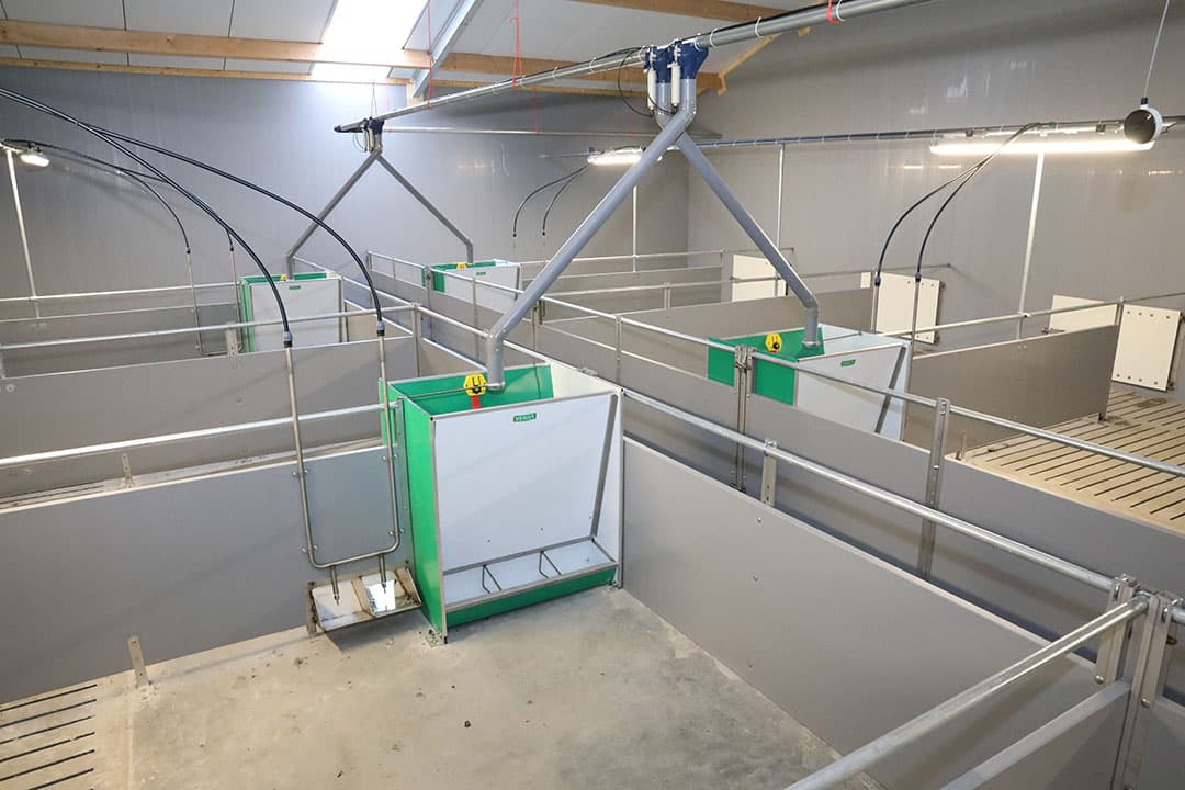 Voer en water worden gescheiden van elkaar aangeboden. Dat wil Mijnheer. Een reden is dat hij er rekening mee houdt dat het Beter leven-programma op termijn verlangt dat varkens een aparte watervoorziening hebben, ook als brij wordt gevoerd. Het drinkwatercircuit is aangelegd zondere doodlopende stukken en het water kan circuleren.